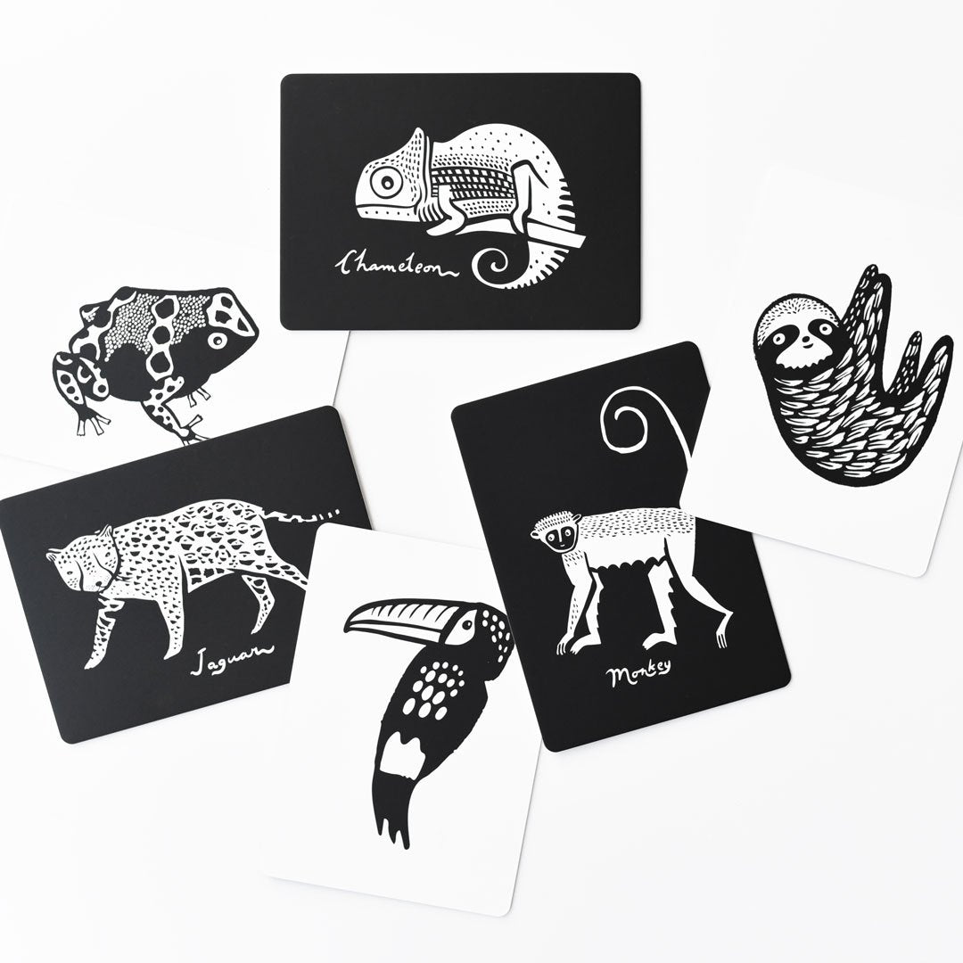 Art Cards for Baby | Rainforest Collection