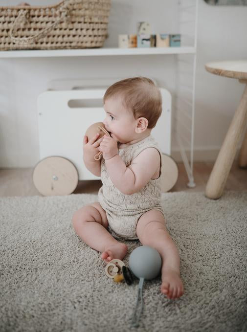 Silicone Pacifier Case | Cloudy Mauve